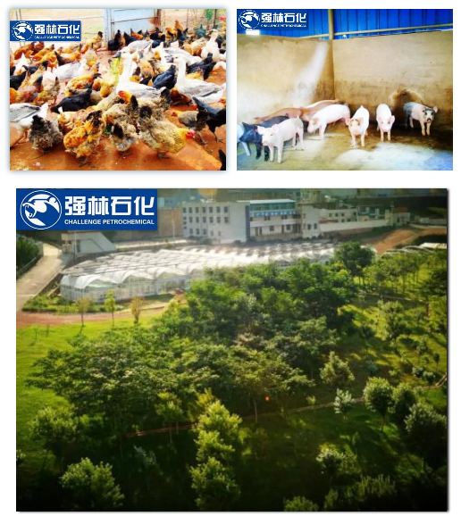 QQ截圖20180823111654