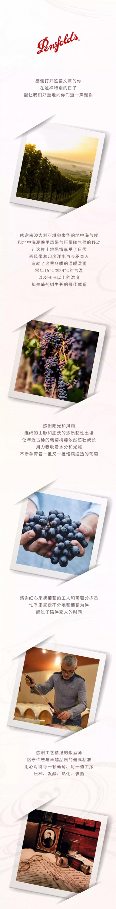 Penfolds  奔富感恩節特輯：第175次感謝，如此長情1